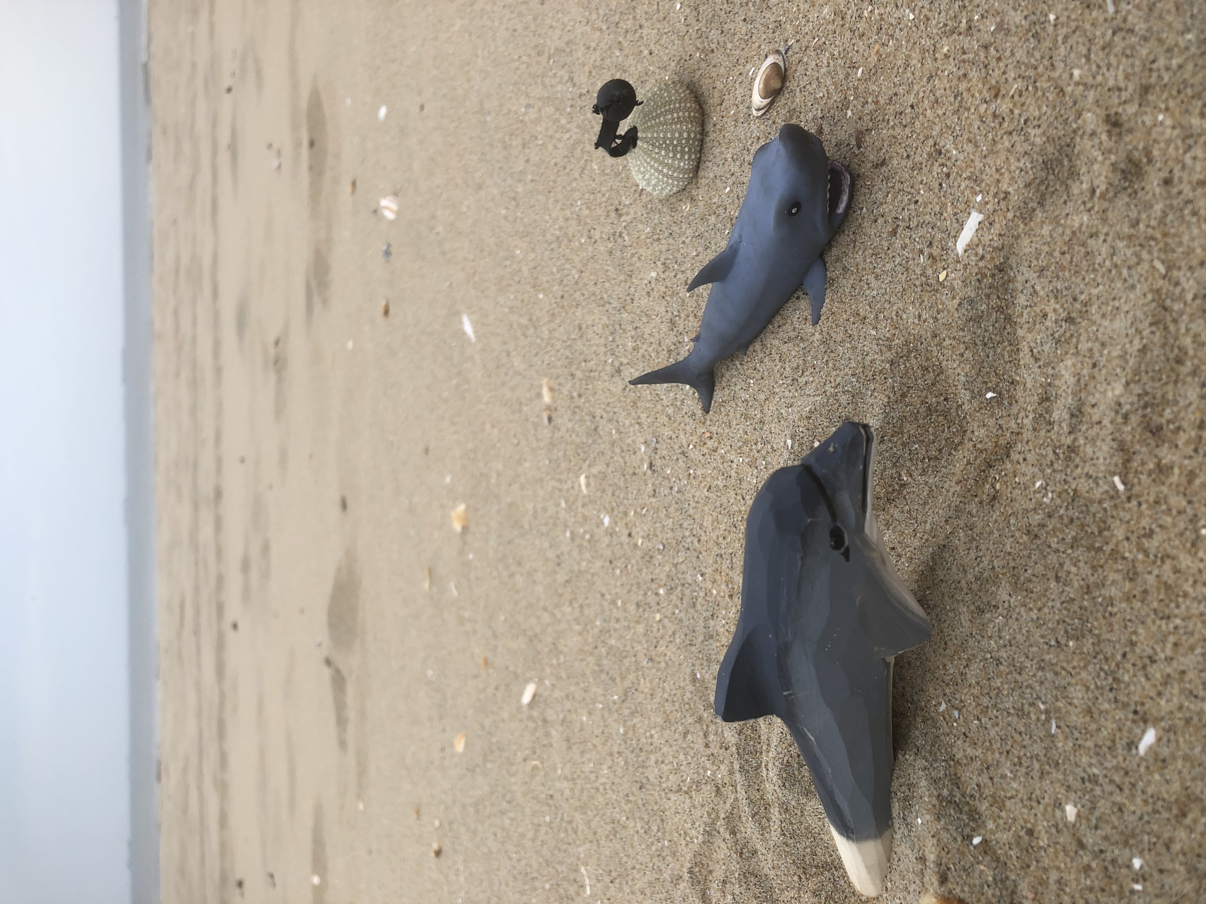 storytelling on the beach